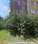 Czyszczenie dachów Katowice. Odśnieżanie dachów.